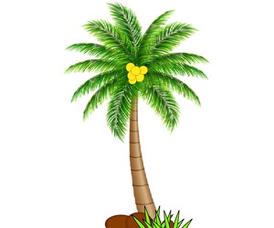 Panjang batang kelapa batang pohon Bentuk Batang