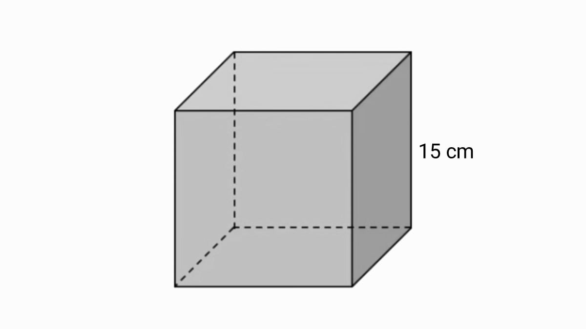Jika diketahui panjang sisi kubus 14 cm berapa luas jaring-jaring kubus