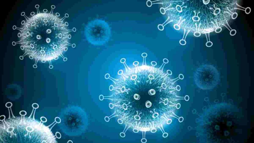 gejala+dan+pencegahan+virus+corona